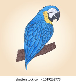 Hand drawn vector macaw parrot sitting on the branch isolated. Tropical decoration.