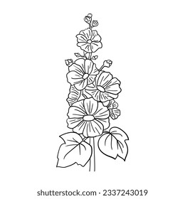 Hand drawn vector malva or alcea rosea flowers, vector illustration