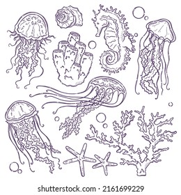 Hand Drawn Vector Marine Life Collection. Jellyfish, Coral, Algae, Seahorse And Starfish.