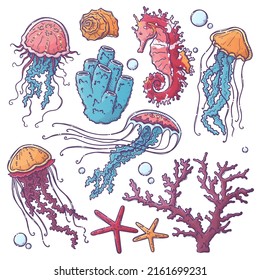 Hand Drawn Vector Marine Life Collection. Jellyfish, Coral, Algae, Seahorse And Starfish.