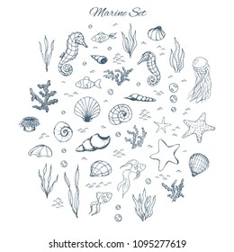 Hand drawn vector marine set with seahorses, shells, stars, seaweed, fish, coral and bubbles. Sea creatures outline on the white background in sketch style.