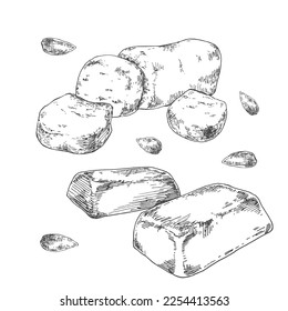 Ilustración de mazapán vectorial dibujada a mano. Harina de almendras tradicional alemana y postre en polvo de azúcar. Plantilla de vintage de ladrillo de nuez para menú, diseño y