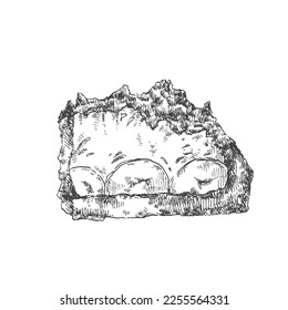 Hand drawn vector maulwurftorte illustration. German traditional mole cake with chocolate crumb filled with cream, strawberry and bananas. Design sweet template for menu, ad, label