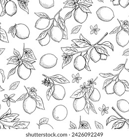 Hand drawn vector monochrome seamless pattern with etching lemon or lime, tree branch in engraved style. Vector black and white repeat backdrop