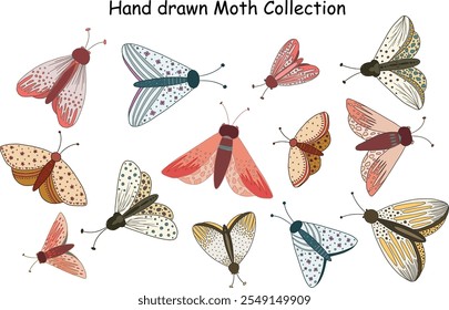 Hand drawn vector Moths Illustration Collection for decoration and digital design