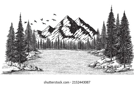 Hand Drawn Vector Mountain Lake Forest Landscape Illustration