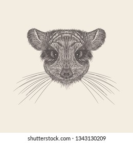 Hand drawn vector of mouse head Illustration.