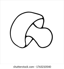 Hand drawn vector mushroom. Black simple outlines isolated on white. Doodle style. Illustration for coloring book design, seasonal autumn cards and the theme of thanksgiving