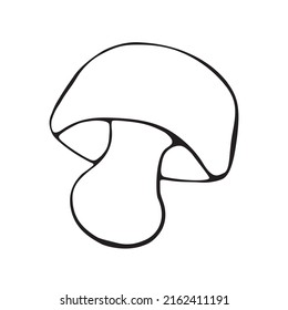 Hand drawn vector mushroom. Black simple outlines isolated on white. Doodle style. Illustration for coloring book design, seasonal autumn cards and the theme of thanksgiving