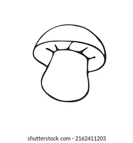 Hand drawn vector mushroom. Black simple outlines isolated on white. Doodle style. Illustration for coloring book design, seasonal autumn cards and the theme of thanksgiving