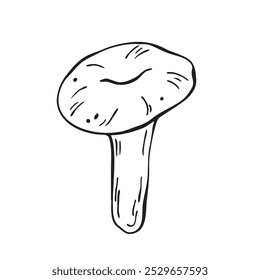 Hand drawn vector mushroom. Outline black vector forest element