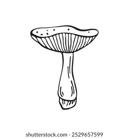 Hand drawn vector mushroom. Outline black vector forest element