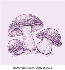 Hand drawn vector mushroom sketch useful for labels and more