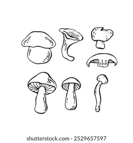 Hand drawn vector mushrooms set. Outline black vector forest elements 