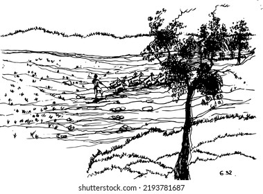 Hand drawn vector nature illustration. Sketch with ink pen. Editable and easy to use
