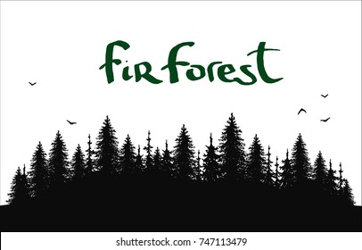 hand drawn vector nature illustration with  fir spruce forest on first view. silhouette landscape. using for travel and nature background and card  