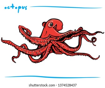 Hand drawn vector octopus illustration. Cartoon octopus . 