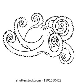 Hand drawn vector octopus isolated on white background. Black and white stock illustration.