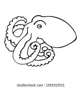 Hand drawn vector octopus isolated on white background. Black and white stock illustration.