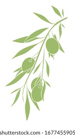 Hand drawn vector olive branch. White background. Isolated. Engraving monochrome technique.