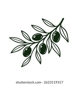 Hand drawn vector olive branch. White background. Isolated. Monochrome engraving technique.