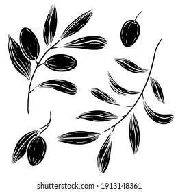 Hand drawn vector olive branches illustration. Isolated black linocut olives clipart. Olives elements set. Graphic block print olives.