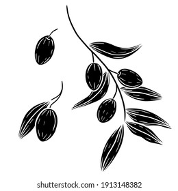 Ilustración de ramas de olivo vectoriales dibujadas a mano. Clíparte de aceitunas de linocut negro aisladas. Elementos de aceitunas establecidos. Aceitunas impresas en bloques gráficos.