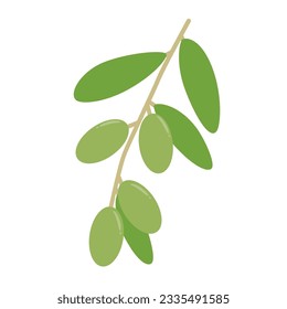 Hand drawn vector Olive fruit cartoon 