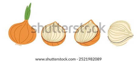 Hand drawn vector of onion parts and whole onions, ideal for culinary illustrations and food icons
