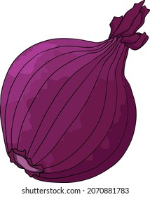 Handgezeichnete Vektorzwiebeln auf weißem Hintergrund. Farbige Skizze des Essens. Gewürz. Ganzes Gemüse. Botanische Illustration