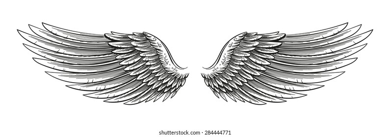 Hand drawn vector open wings in a sketchy stroked style isolated on white.