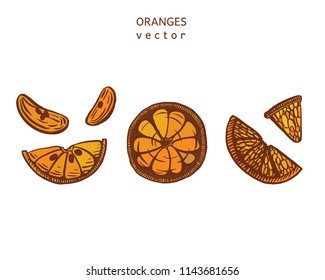 Hand drawn vector orange illustration set. Isolated on white