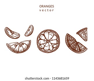 Hand drawn vector orange illustration set. Isolated on white