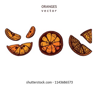 Hand drawn vector orange illustrations set. Isoltaed on white.