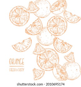 Hand drawn vector orange image. Summer fruit engraved style illustration. Vegetarian dessert fresh food, lemonade. Citrus design for label, print