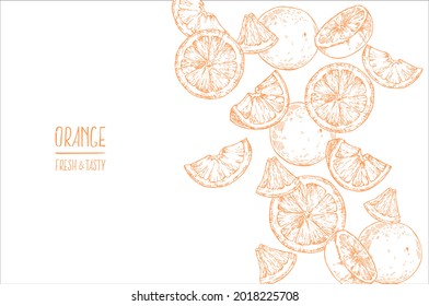 Hand drawn vector orange image. Summer fruit engraved style illustration. Vegetarian dessert fresh food, lemonade. Citrus design for label, print