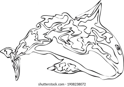 A hand drawn vector of Orcinus orca, killer whale. A sample of colouring pages for children and adults. Anti-stress zentagle doodles. A fantasy book illustration. 