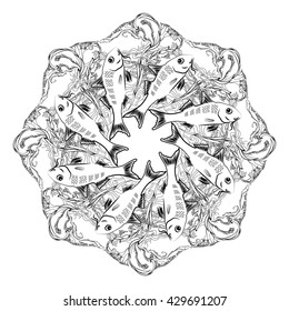 Hand drawn  vector ornamental mandala for coloring with fishes and alga on white background. Marine circle ornament.