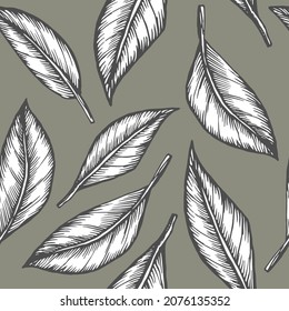 Hand drawn vector outline black and white illustration. Stylized drawing of a set of leaves of citrus plants. Citrus leaves. Handwritten graphic technique