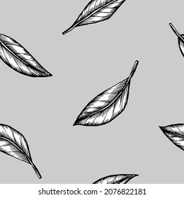 Handgezeichnete Vektorgrafik, schwarz-weißes Bild. Stilisierte Zeichnung einer Reihe von Blättern von Zitruspflanzen. Zitrusblätter. Handgeschriebene Grafiktechnik
