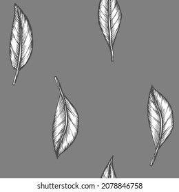 Hand drawn vector outline black and white illustration. Stylized drawing of a set of leaves of citrus plants. Citrus leaves. Handwritten graphic technique