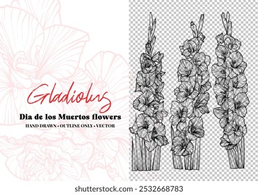 Hand drawn vector outline Dia de los Muertos flowers. Line art gladiolus with leaves, blooms bouquet. Illustration for print and online projects. 