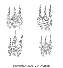 Hand drawn vector outline Dia de los Muertos flowers. Line art gladiolus with leaves,