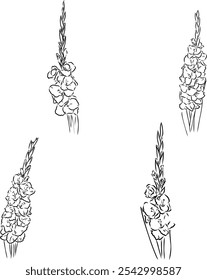 Hand drawn vector outline Dia de los Muertos flowers. Line art gladiolus with leaves,