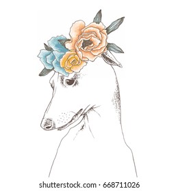 Hand drawn vector outline illustration of portrait of Italian greyhound with flower bouquet on the head. Outline graphic sketch. Flowers wreath.