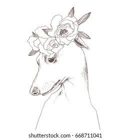 Hand drawn vector outline illustration of portrait of Italian greyhound with flower bouquet on the head. Outline graphic sketch. Flowers wreath.