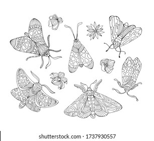 Hand drawn vector outline set of moths and butterflies.
Coloring book illustration. Clipart of butterflies for logo, print, card, textil design.