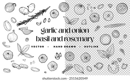 Vetor desenhado à mão esboço de legumes e condimentos como cebola, alho, manjericão e alecrim. Vista de cima e vista lateral destes condimentos são fáceis de editar e prontos para usar. 