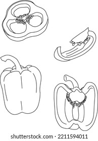 Hand drawn vector outlined isolated pepper illustration, view from many angles vegetable, eat or cook