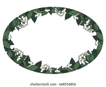 Hand drawn vector oval jasmine frame isolated on white background